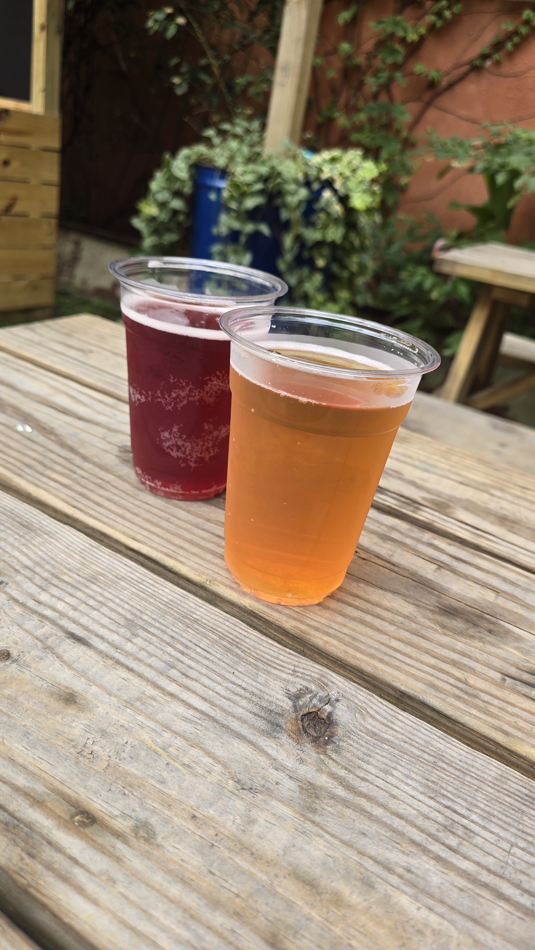 Drinks Outside at Commonwealth Ciders